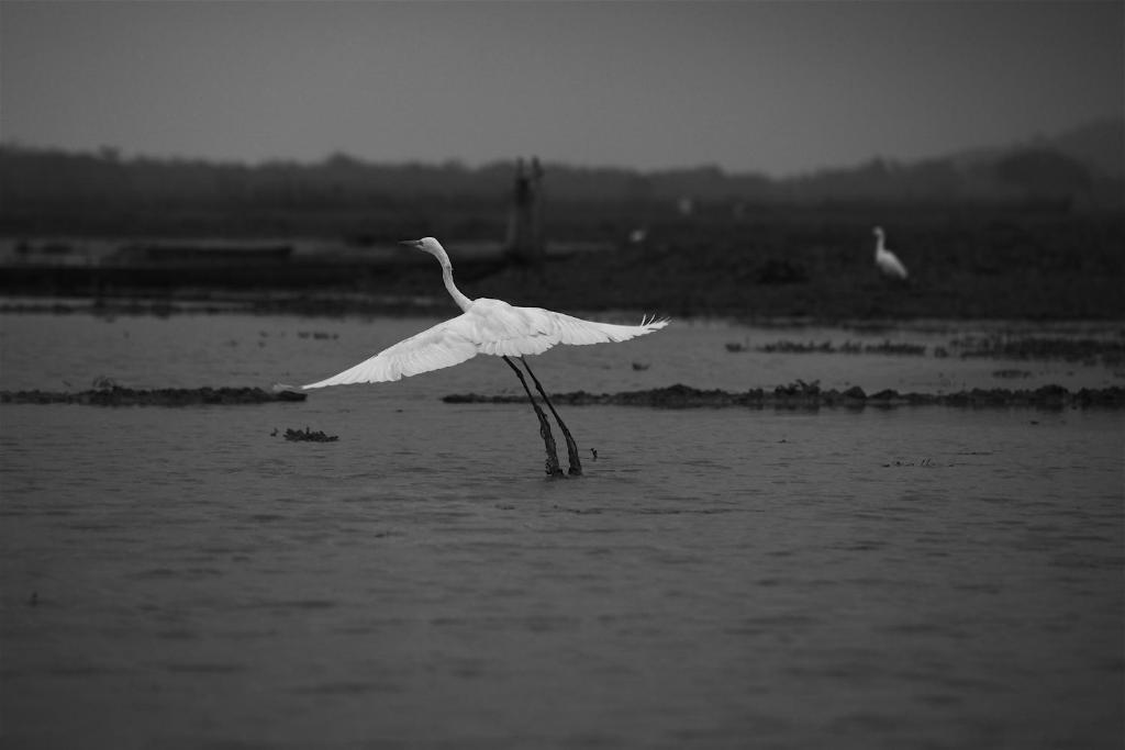 Swaraj Resorts Bharatpur Exteriér fotografie